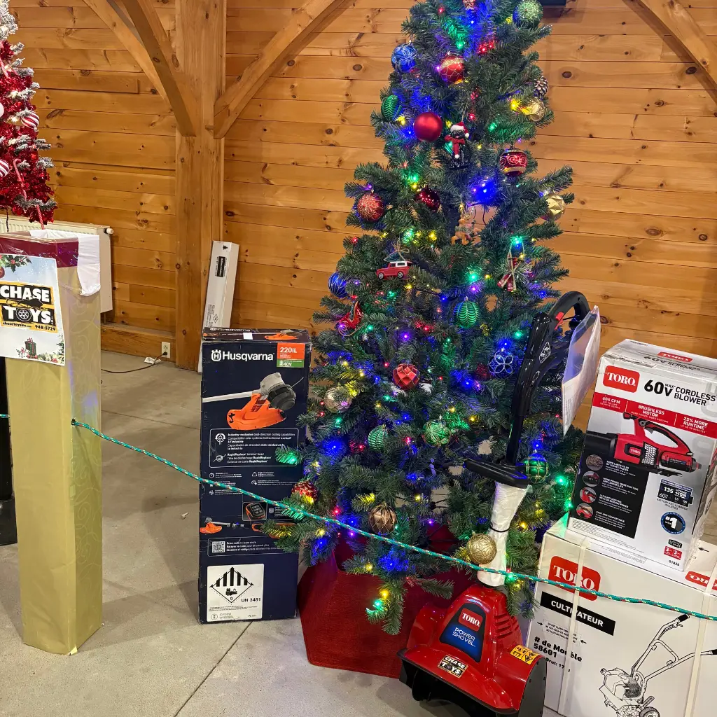 Prize Image for Chase Toys