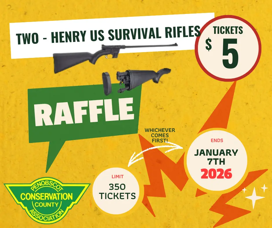 Prize Image for Two Henry US Survival Rifles