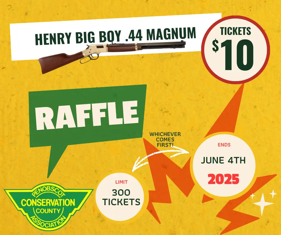 Prize Image for Henry Big Boy .44 Magnum