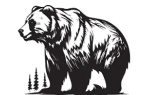 Prize Image for Bear Hunt Big-C Donated by Adam Coover