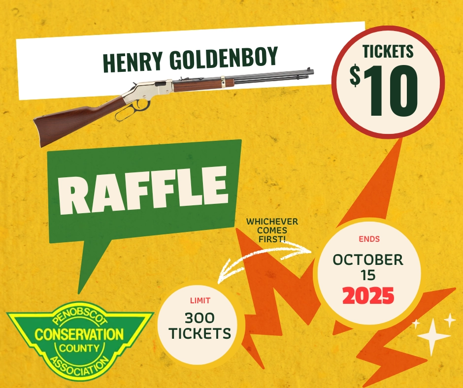 Henry Goldenboy