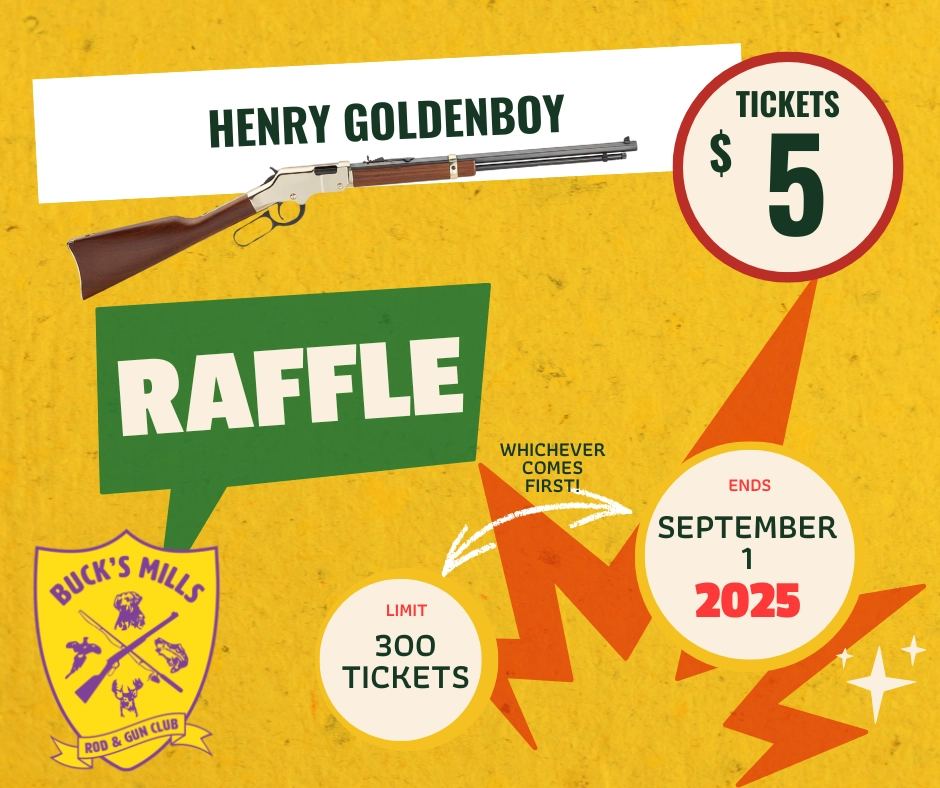 Henry Goldenboy